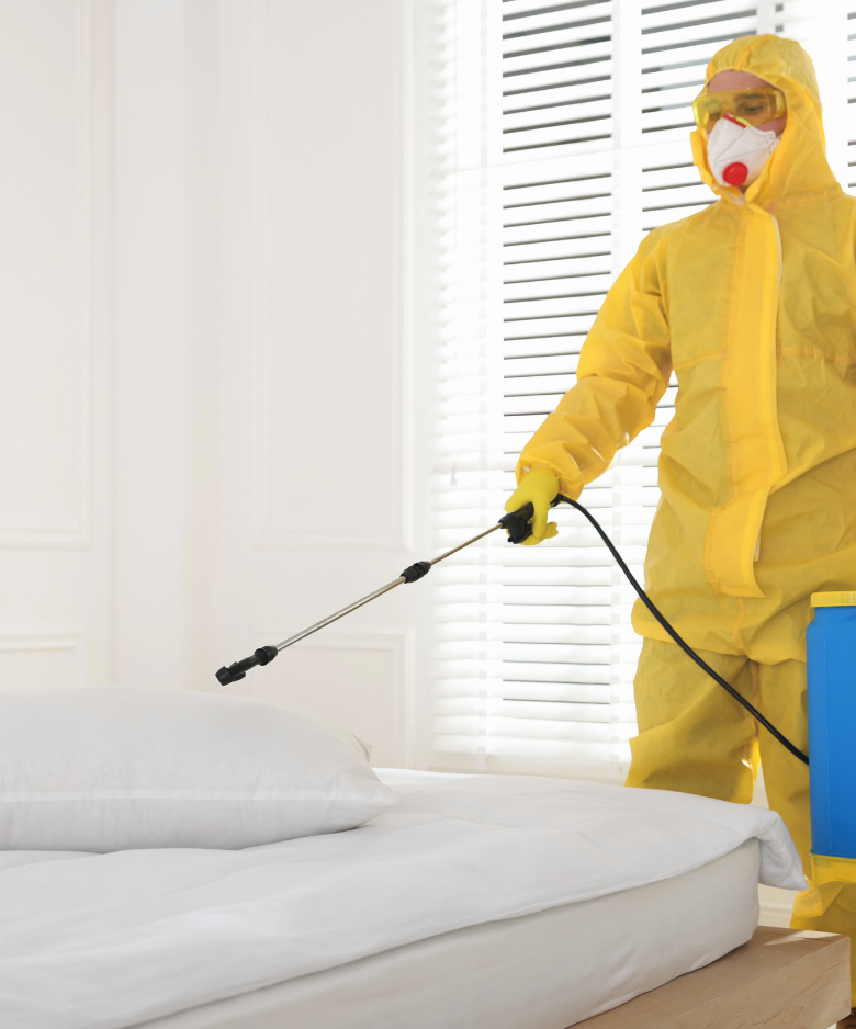 Professional Pest Control Team in Uleybury